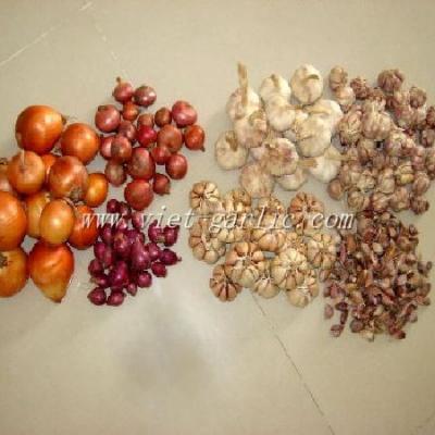 NHÓM HÀNG CỦ QUẢ