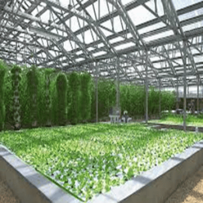 Phát triển dịch vụ nông nghiệp: Niềm vui cho nhà nông