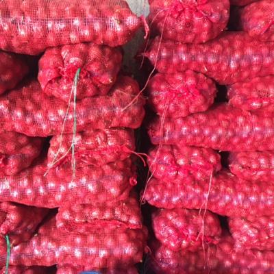 mở rộng 1 - không xài