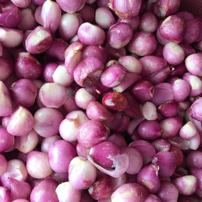 mở rộng 1 - không xài