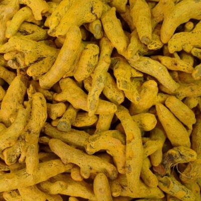 NGHỆ CỦ SẤY KHÔ